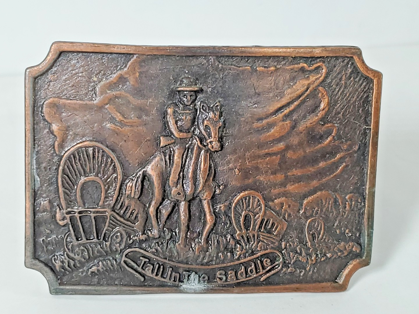 Tall In The Saddle Western Belt Buckle READ 2 1/2 x 3 1/2 Metal