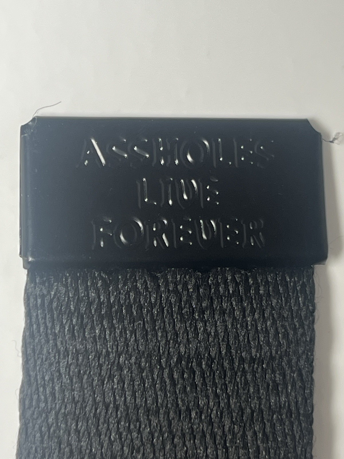 Canvas Belt Black , Says …. A**holes Live Forever