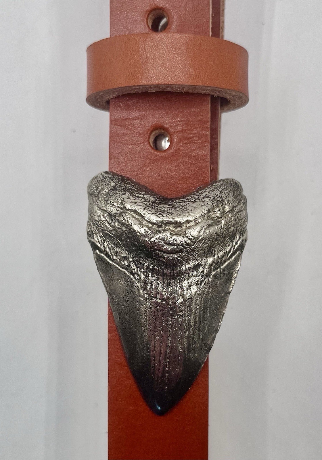 Megalodon tooth belt buckle