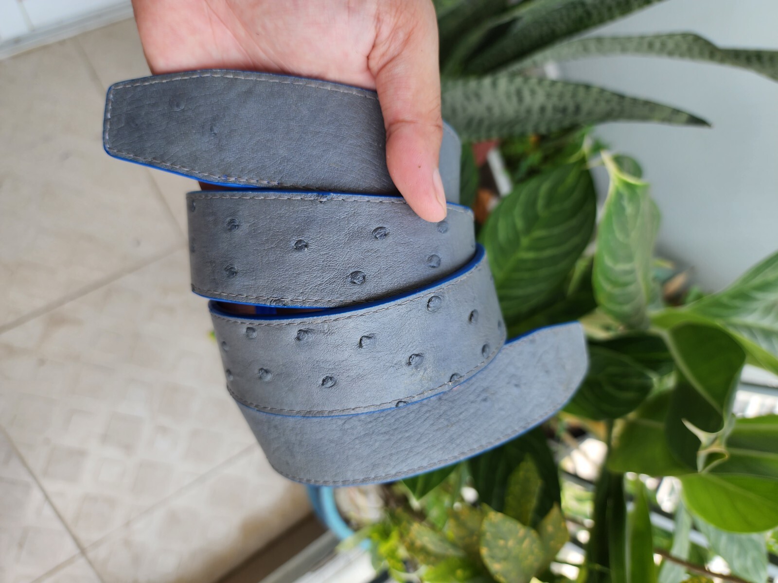 3.8CM Gray/Blue 100% Genuine Ostrich Leather Skin Men Belts Buckle-Handmade
