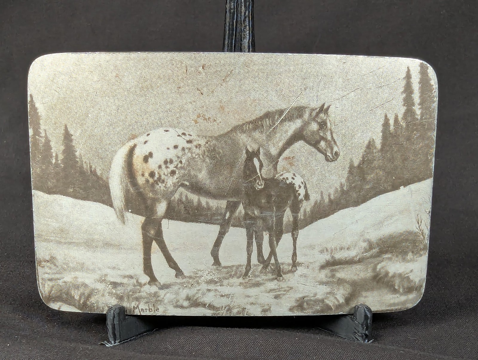 Vintage Perma-Tech Belt Buckle Appaloosa Mare and Foal Etched Aluminum 3.5 Inch