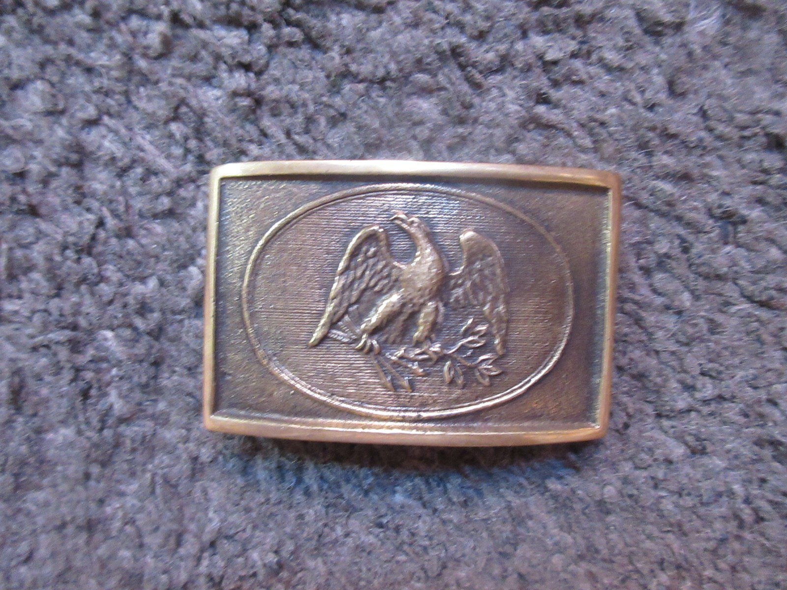 AMERICAN EAGLE 3&Prime; x 2&Prime; BRASS BELT BUCKLE NEW IN NORDSTROMS BOX