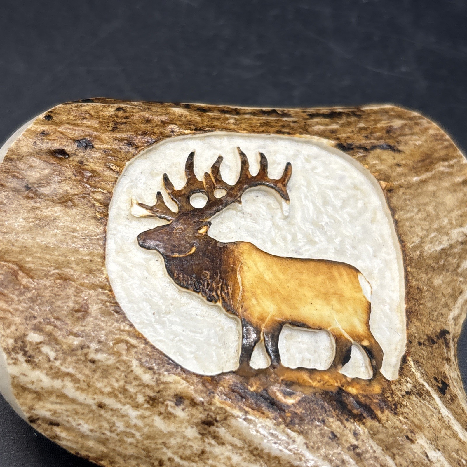 Elk Antler Belt Buckle Hand Carved And Painted With Solid Brass Hardware