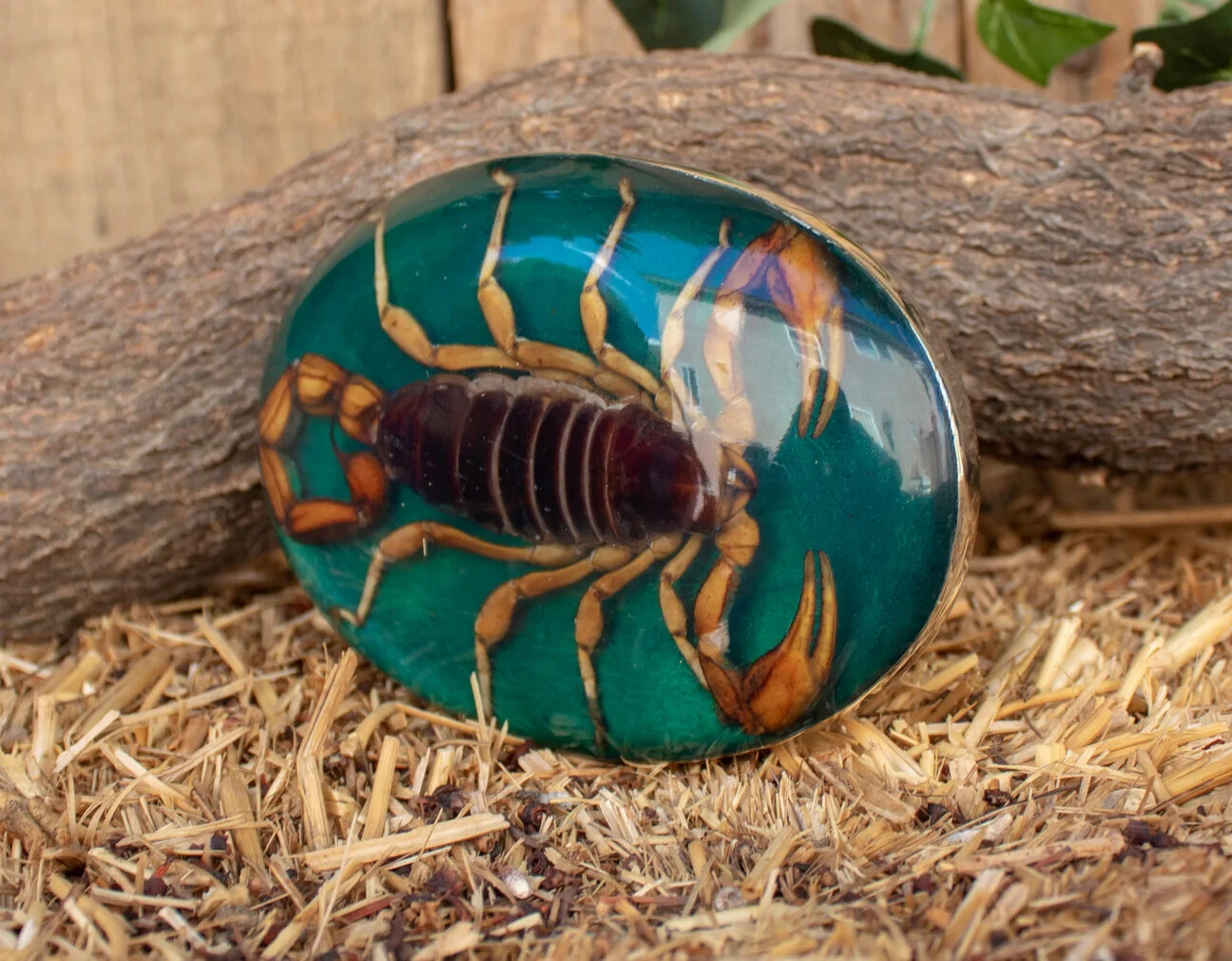 Men Women Real Scorpion Belt Buckle Western Cowboy Vintage MADE IN HECHO MEXICO