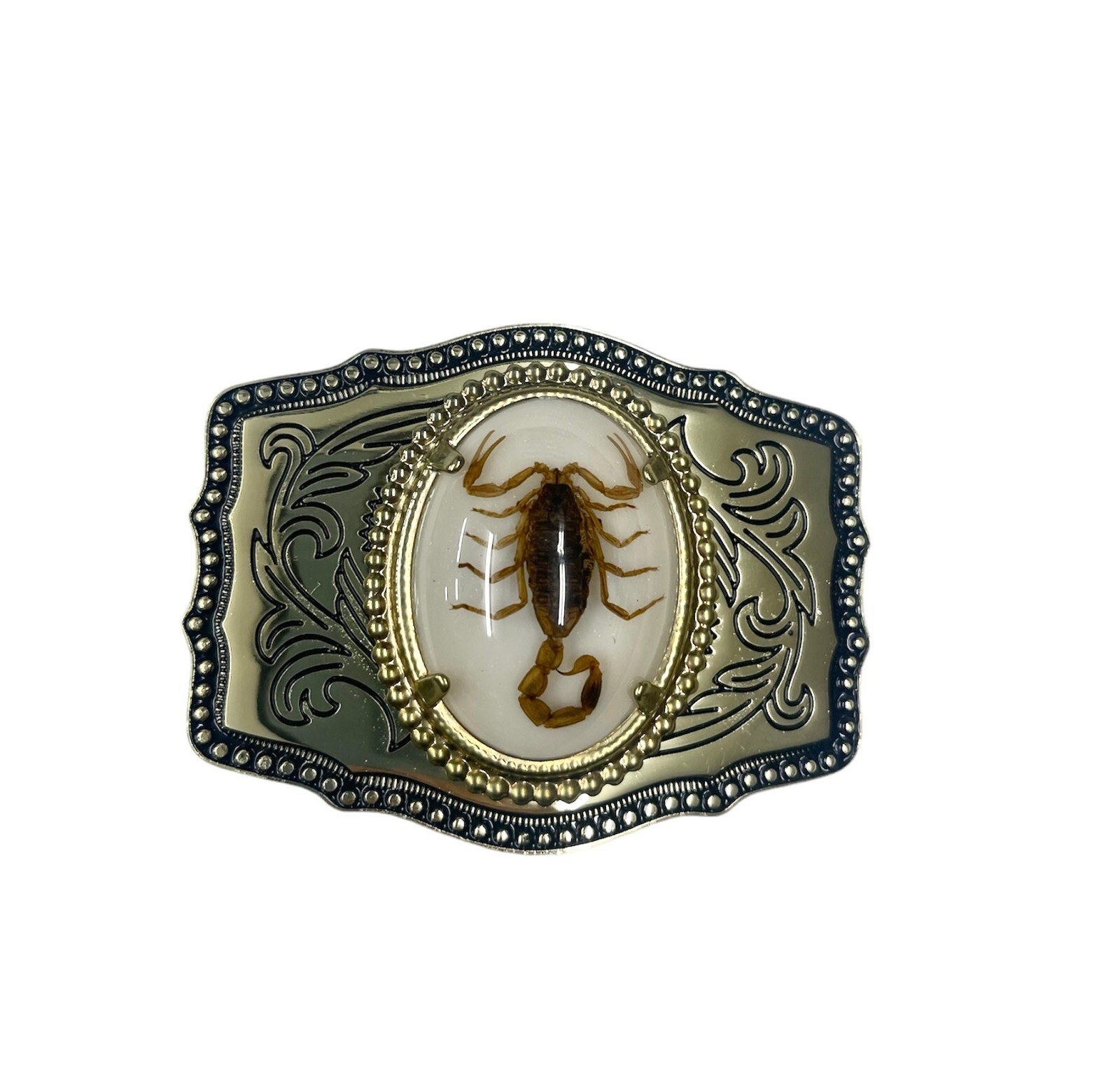 Western Style Real Scorpion Cowboy Cowgirl Rodeo Scorpio Metal Belt Buckles
