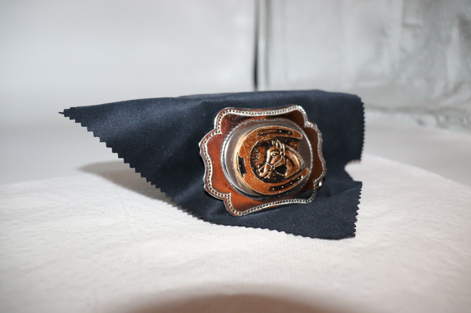 Horse in a Horseshoe Belt Buckle