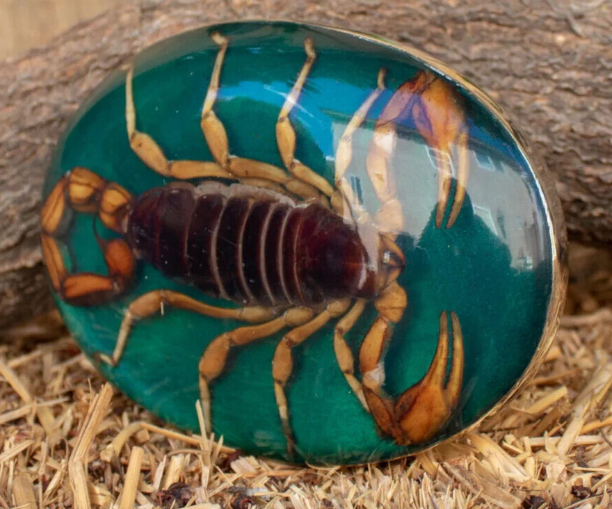 Men Women Real Scorpion Belt Buckle Western Cowboy Vintage MADE IN HECHO MEXICO