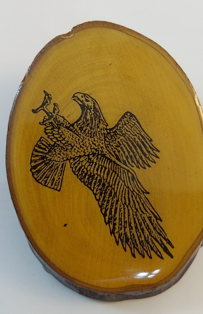 Vintage Wood Slice Attacking Eagle Belt Buckle with Bark Edge