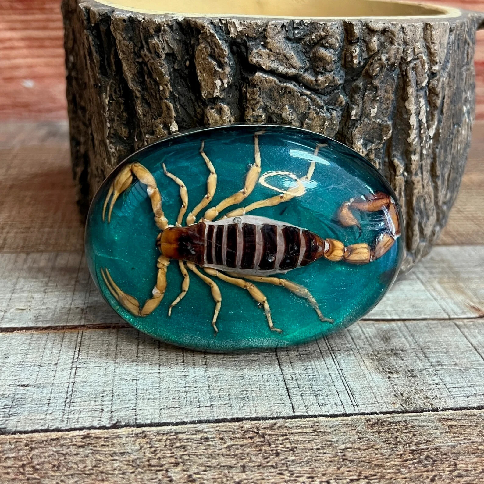 Men Women Real Scorpion Belt Buckle Western Cowboy Vintage MADE IN HECHO MEXICO