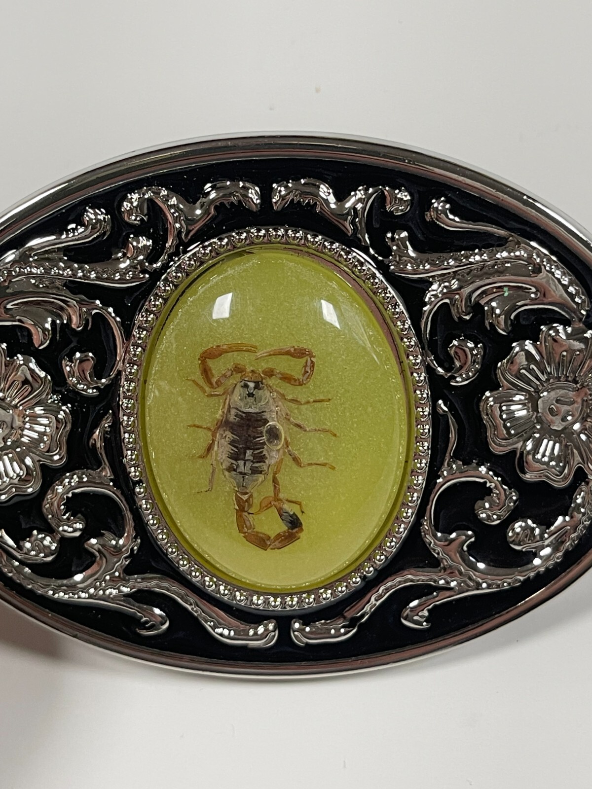 Real Scorpion Belt Buckle Insects in Resin Taxidermy – Minor Defects – 3 Pack