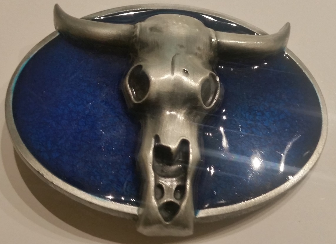 ✖ WESTERN Skull Cowboy Rodeo Style ✖ Belt Buckle Buck ✖ blue antique silver