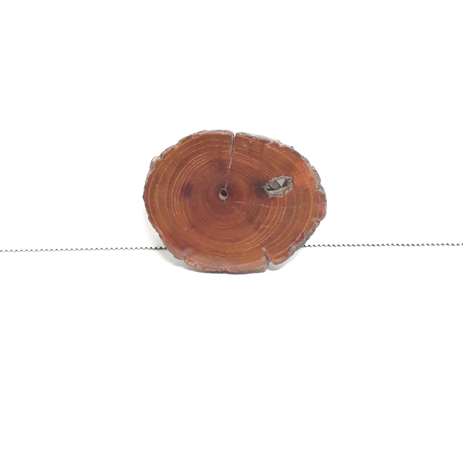 Live Edge Wood Slice Buckle 3 x 2&Prime; Vintage – Brown Rustic Retro Cowboy Western