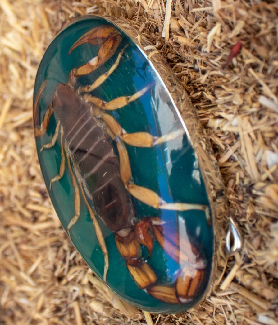 Men Women Real Scorpion Belt Buckle Western Cowboy Vintage MADE IN HECHO MEXICO