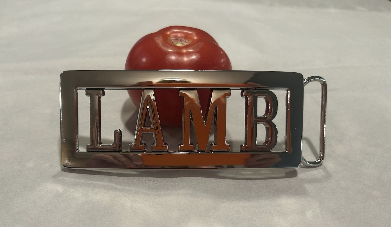 GWEN STEFANI L.A.M.B. LAMB NO DOUBT Belt Buckle