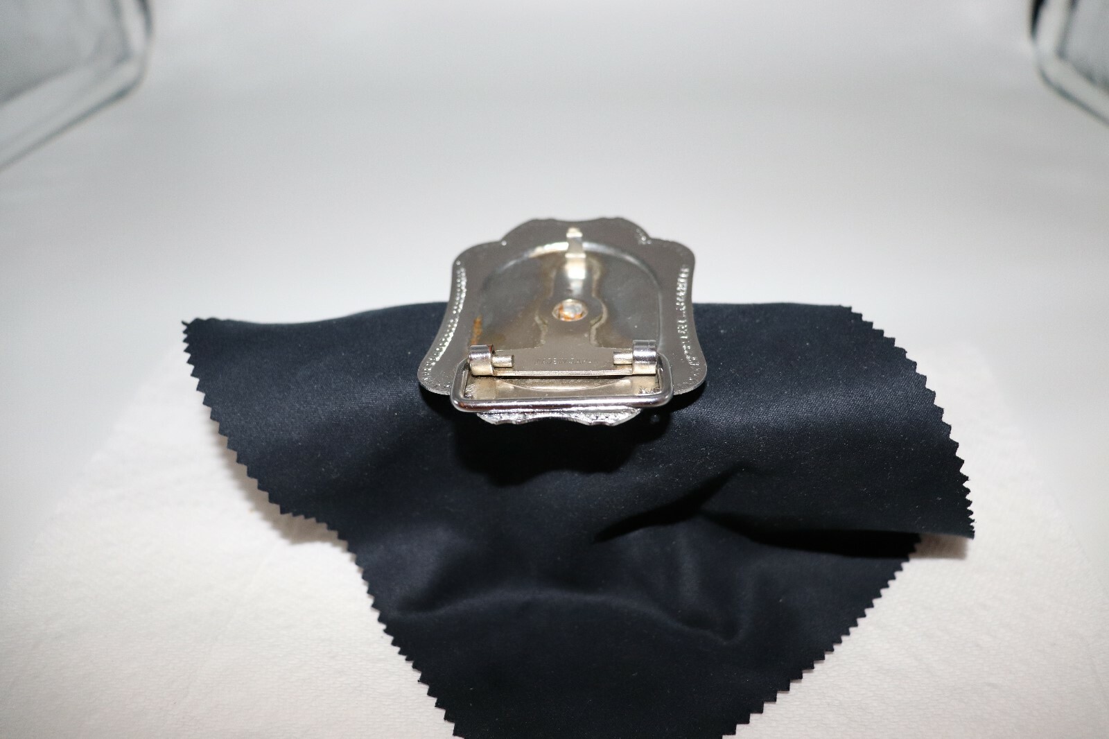 Horse in a Horseshoe Belt Buckle