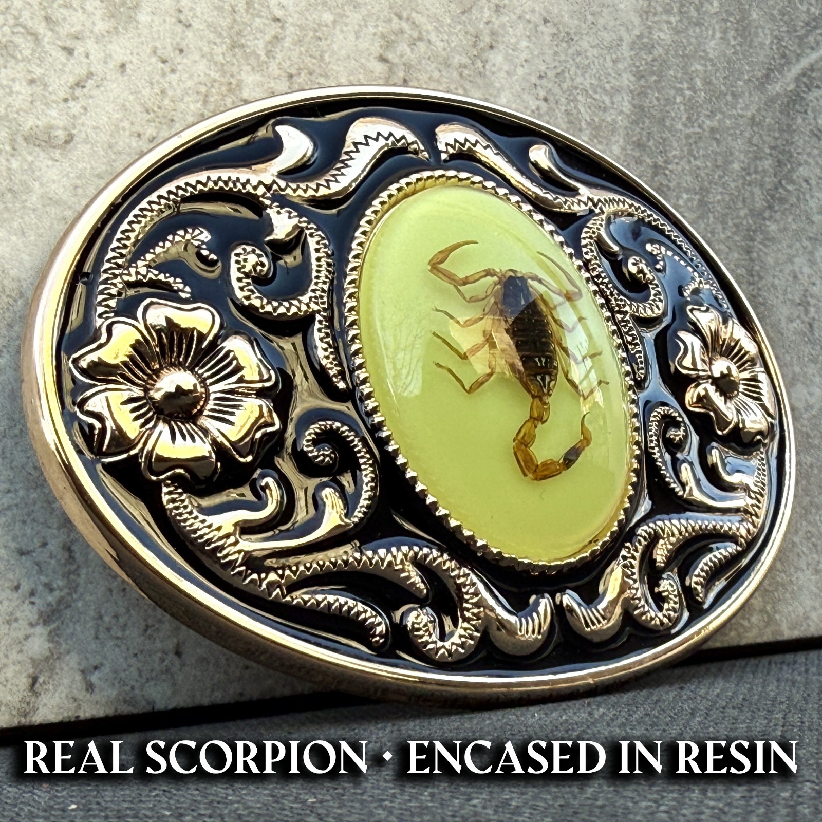 Western Scorpion Belt Buckle Real Scorpion Resin Glow in Dark. For 1.5&Prime; Belt
