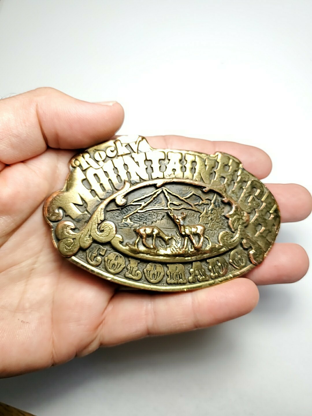 1975 Dezy Denver Rocky MountainHigh Colorado Belt Buckle