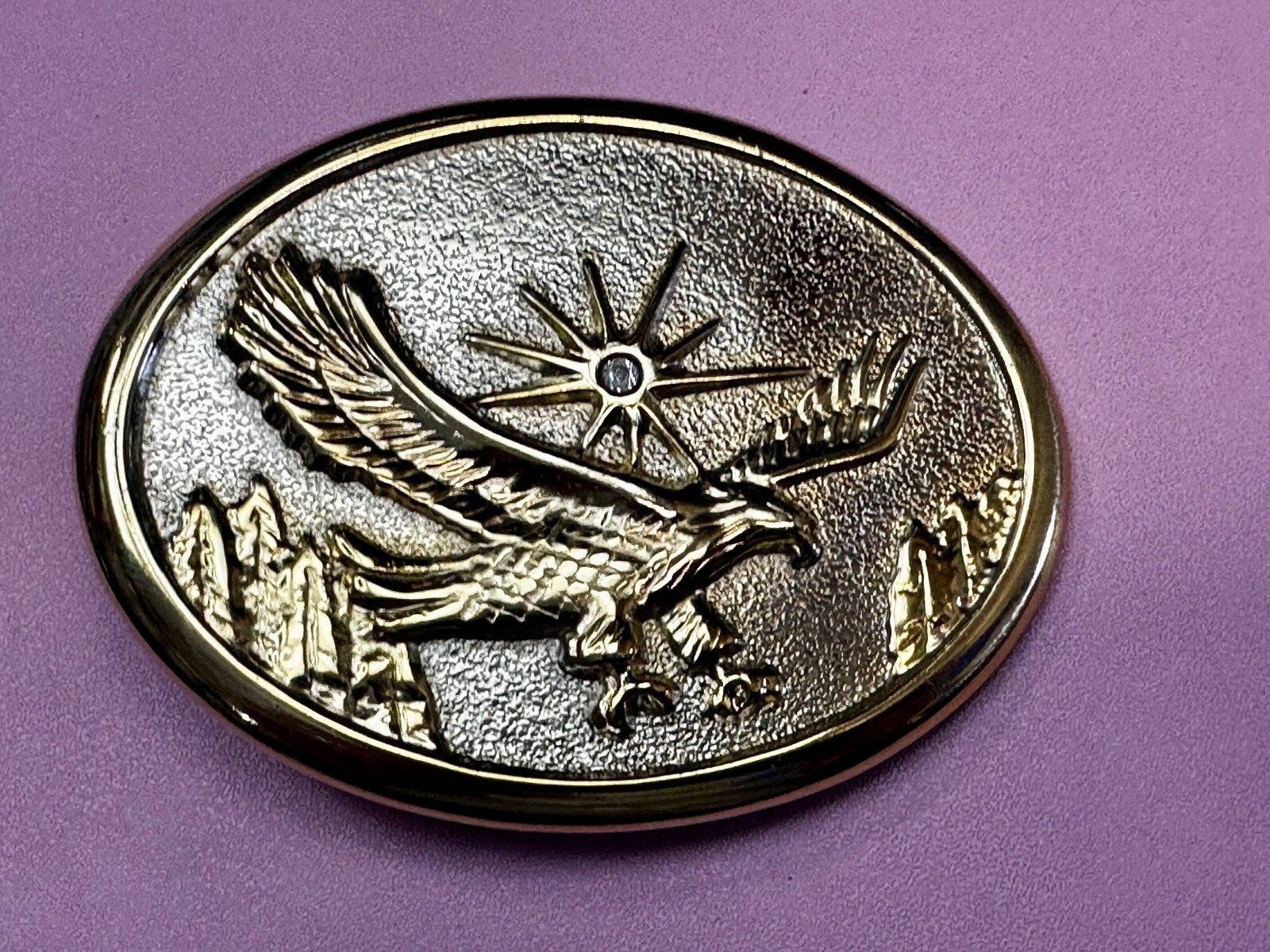 Eagle With Starburst USA Patriotic Belt Buckle Golden Western Bird Wings Cowboy