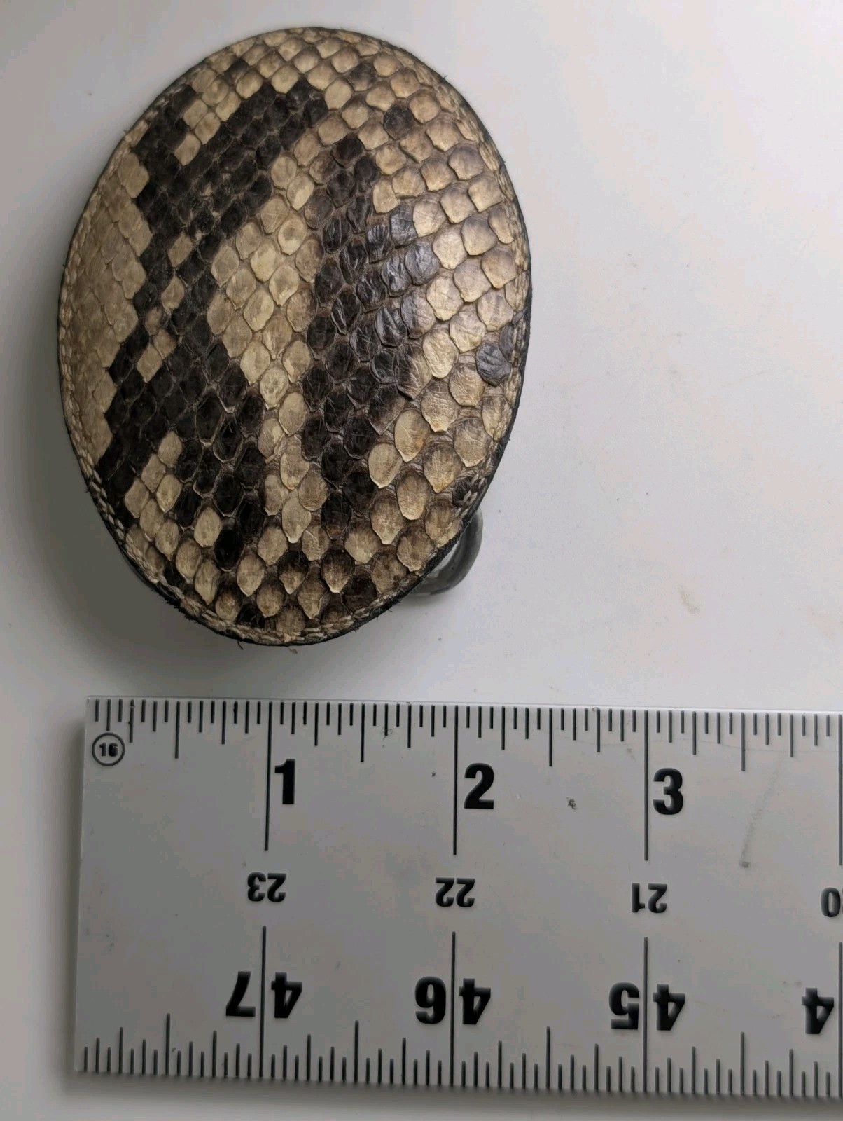 Vintage Genuine Python Snakeskin Belt Buckle Oval Leather Inlay Western Exotic