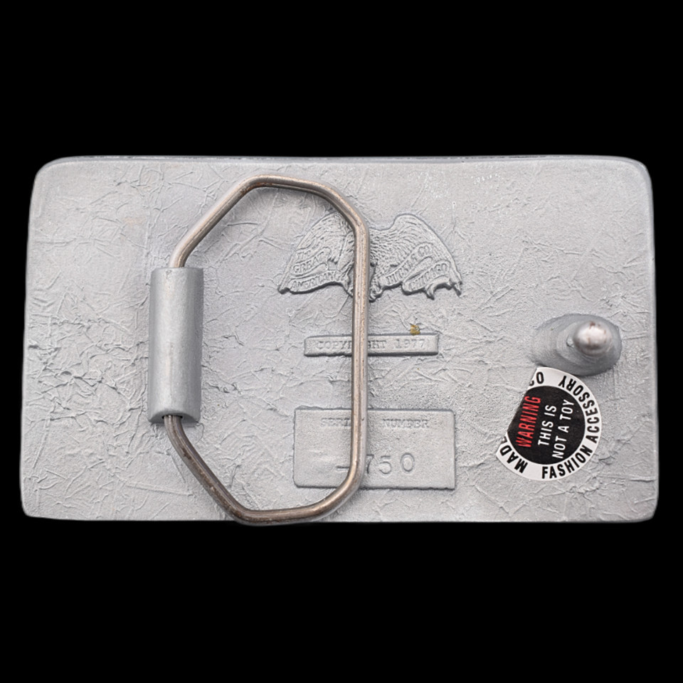 Faster Horses Old Whiskey Younger Women More Money Funny Novelty Belt Buckle