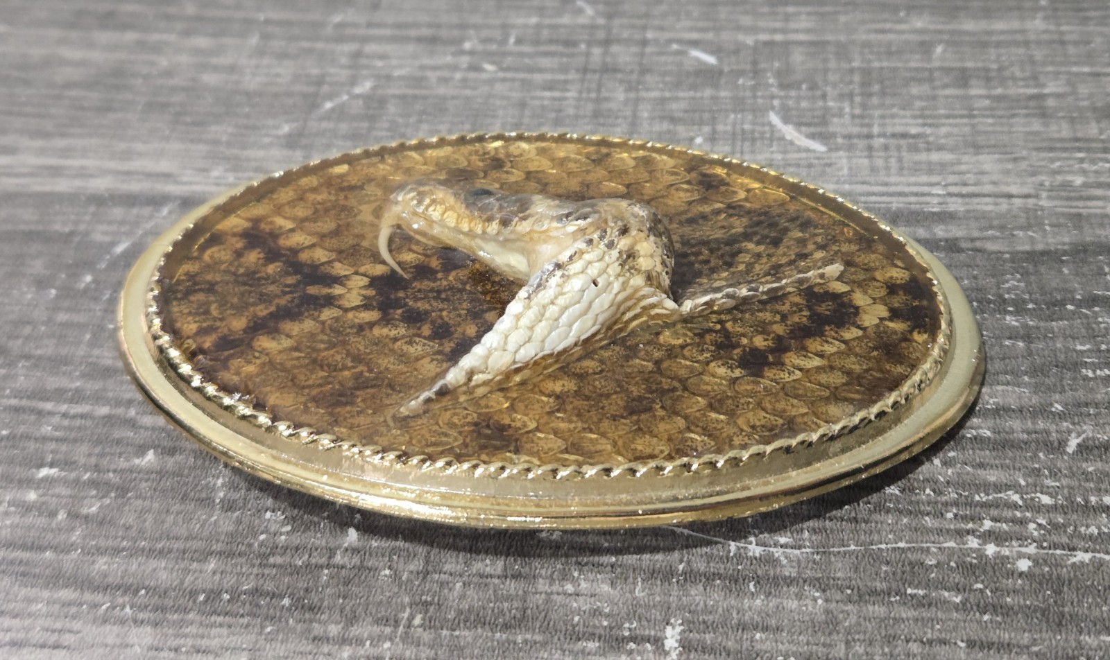 Taxidermy Rattlesnake Head Belt Buckle