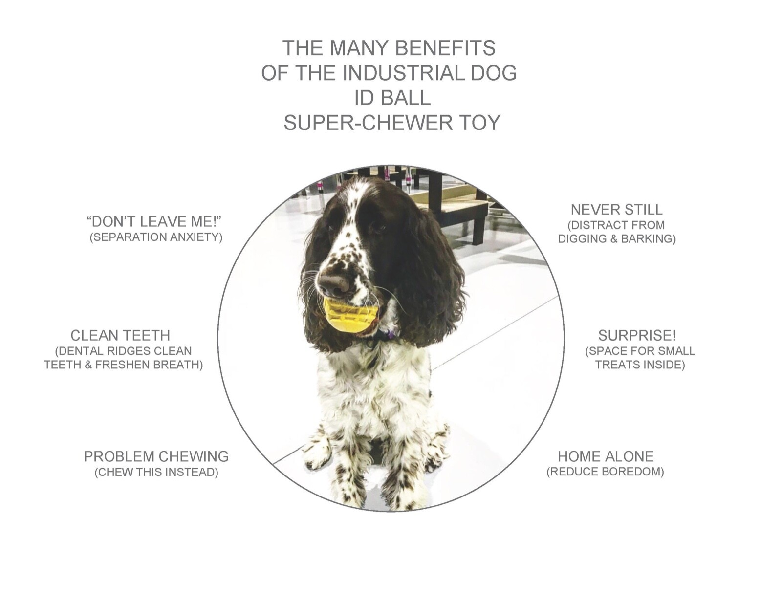 Industrial Dog Ultra-Durable Ball Fetch DURABLE Retrieving Toy Training – Dogs