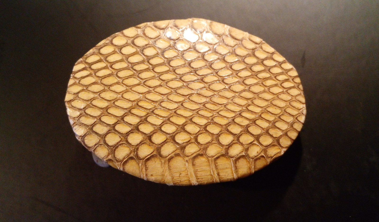 Buckle Snake Genuine Cobra – Vintage 1992 USA