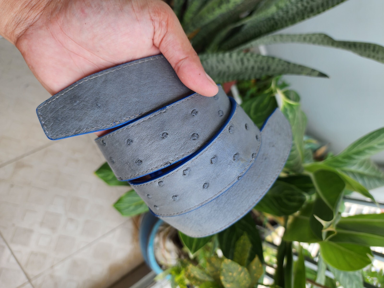 3.8CM Gray/Blue 100% Genuine Ostrich Leather Skin Men Belts Buckle-Handmade