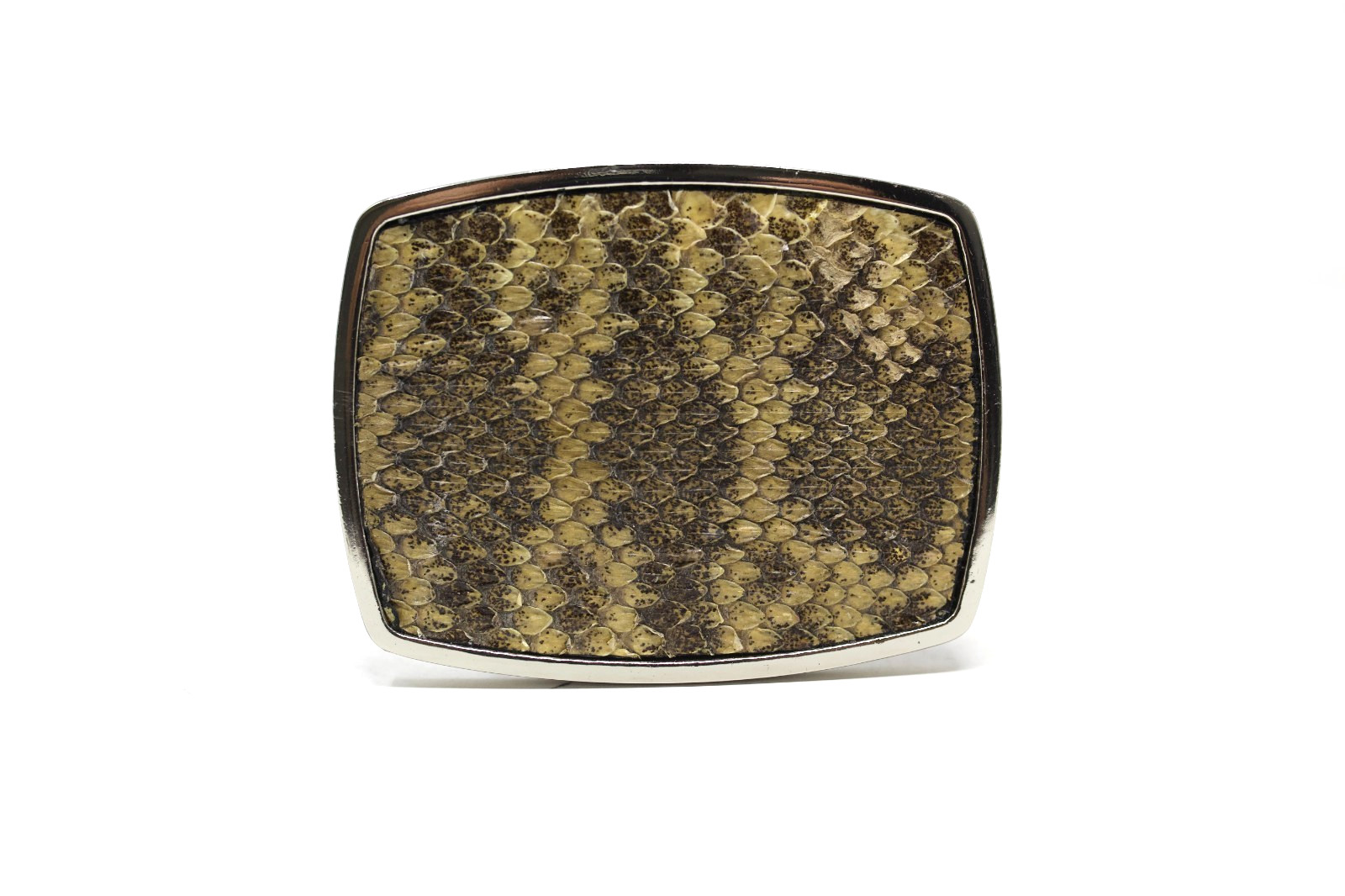 RattleSnake Belt Buckle, Exotic Belt Buckle, ( 1.5 ») Removable Western Buckle