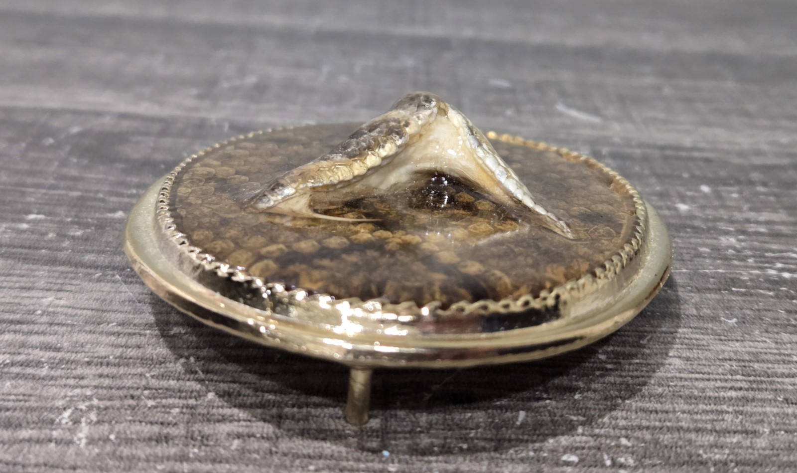 Taxidermy Rattlesnake Head Belt Buckle