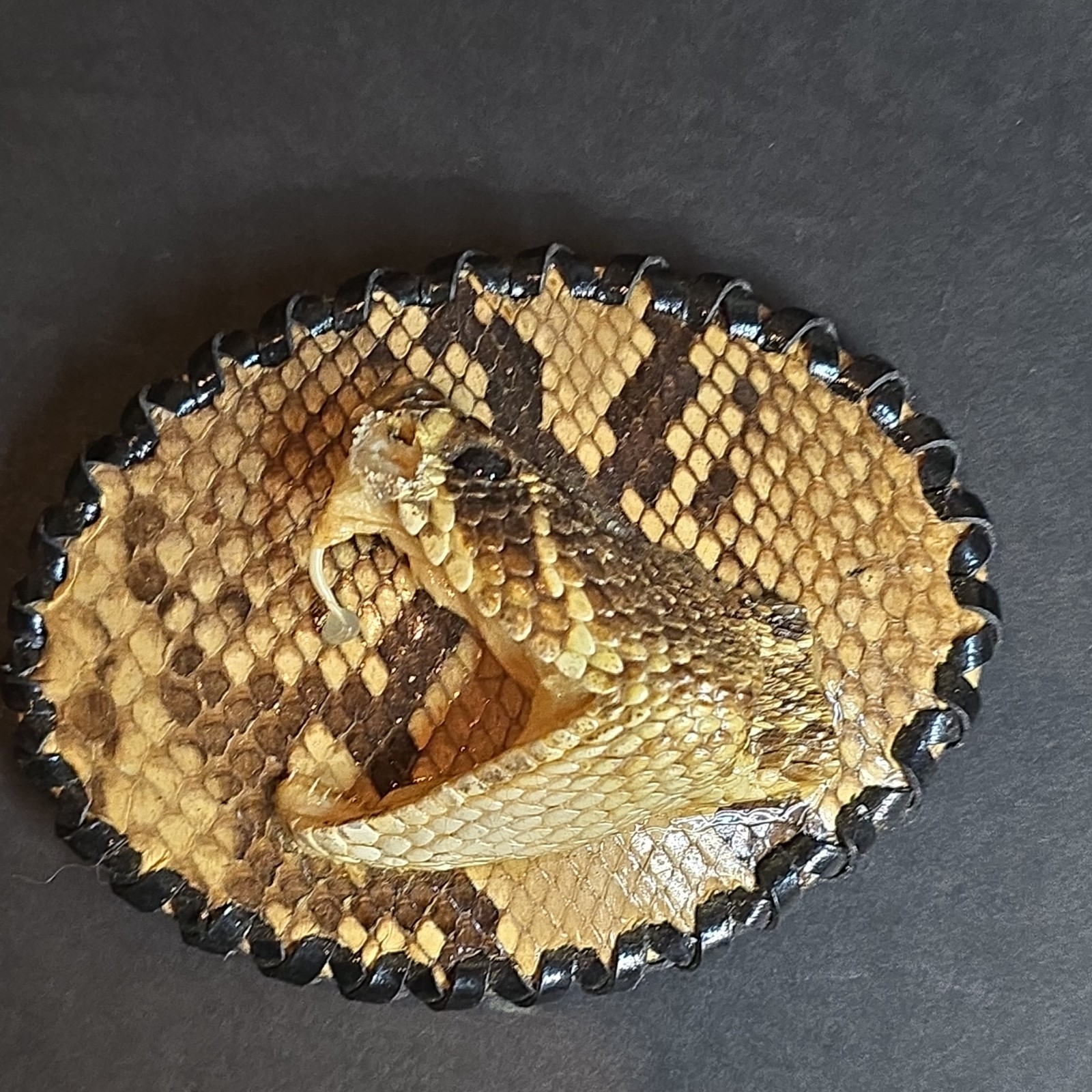 Skin Shop USA Rattlesnake Skin & Head Western Men&rsquo;s Belt Buckle Brown Black