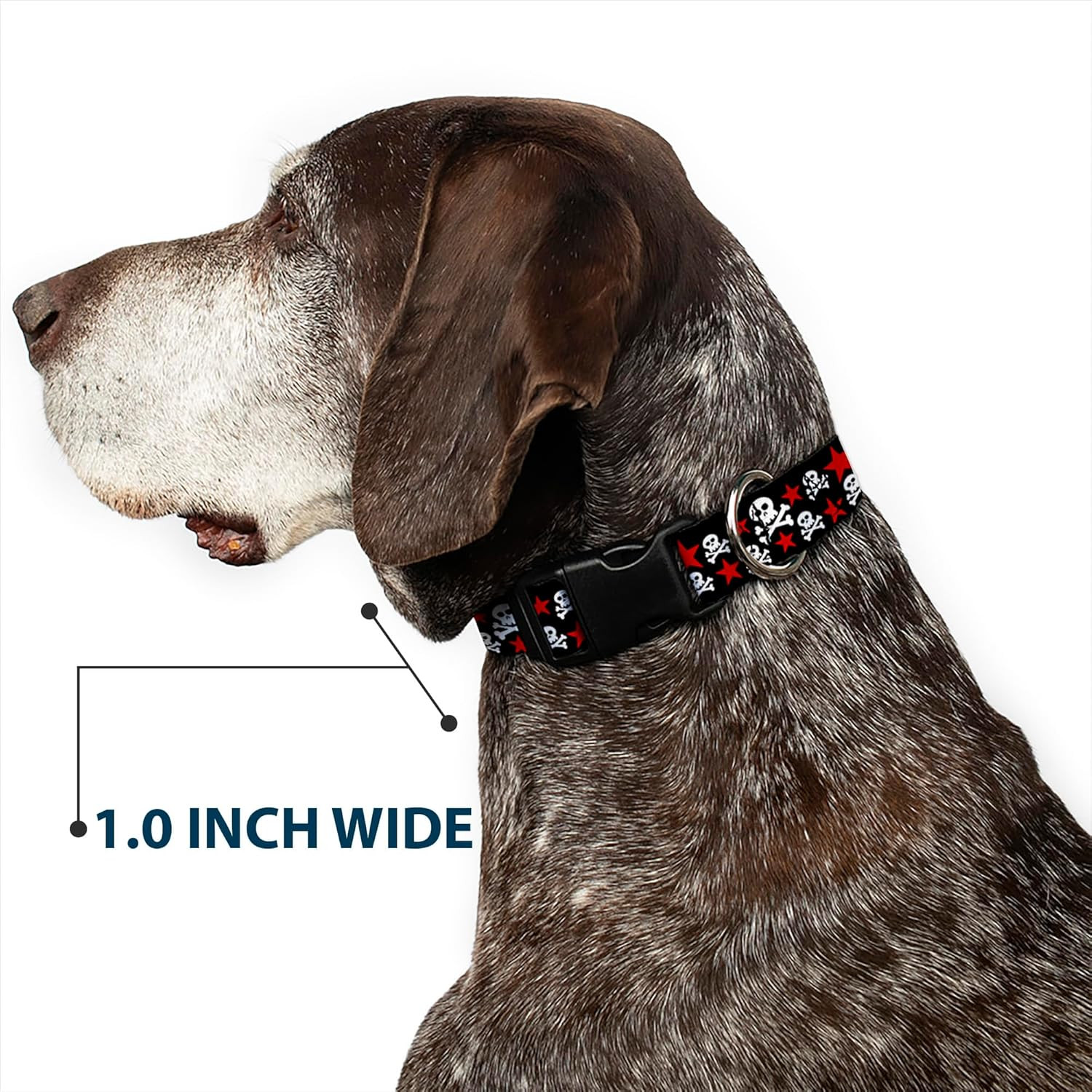 18-32&Prime; Skulls & Stars Black/White/Red Plastic Clip Collar, Wide Large