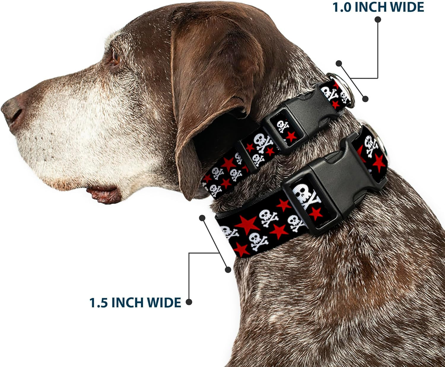 18-32&Prime; Skulls & Stars Black/White/Red Plastic Clip Collar, Wide Large