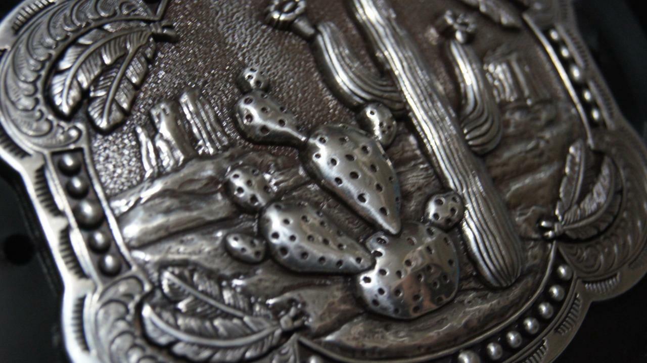 Blazin Roxx Western Belt Buckle Cactus Feathers 37597