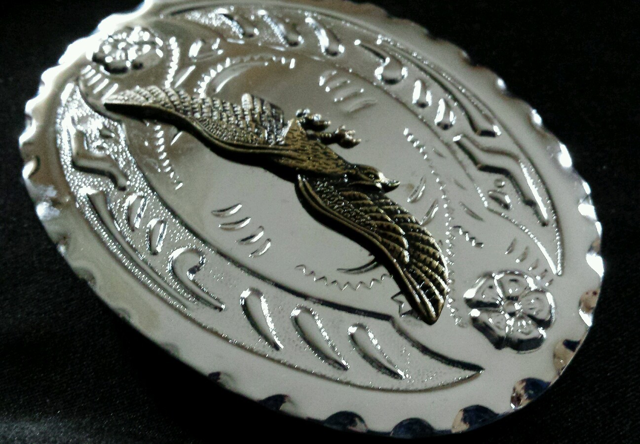 SPREAD WING BRASS TONED EAGLE WESTERN BELT BUCKLE SILVER TONED BACKGROUND