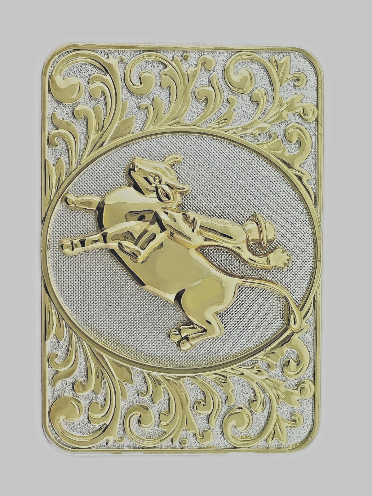 Western Cowboy Cowgirl Men Women State Texas Rode Belt Buckles Gold Silver Metal
