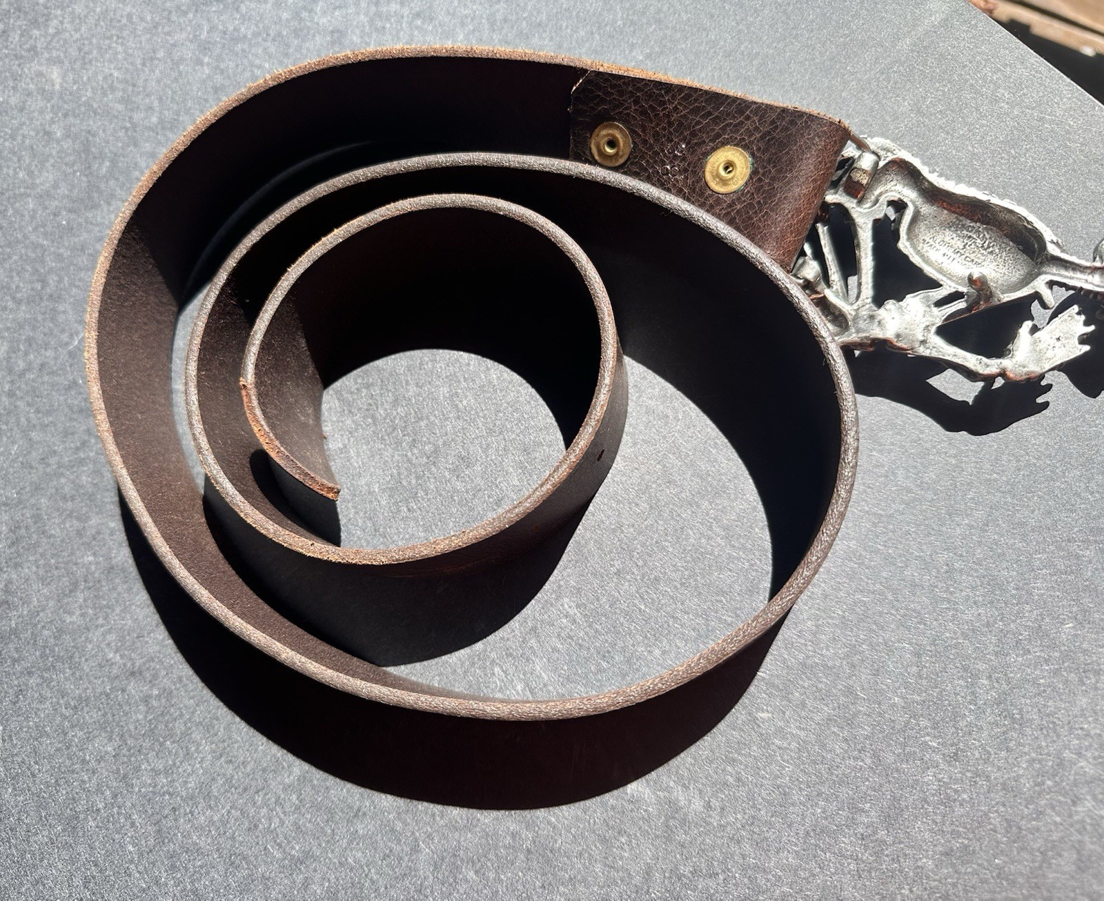 Belt With Skeleton Buckle By Alchemy Gothic