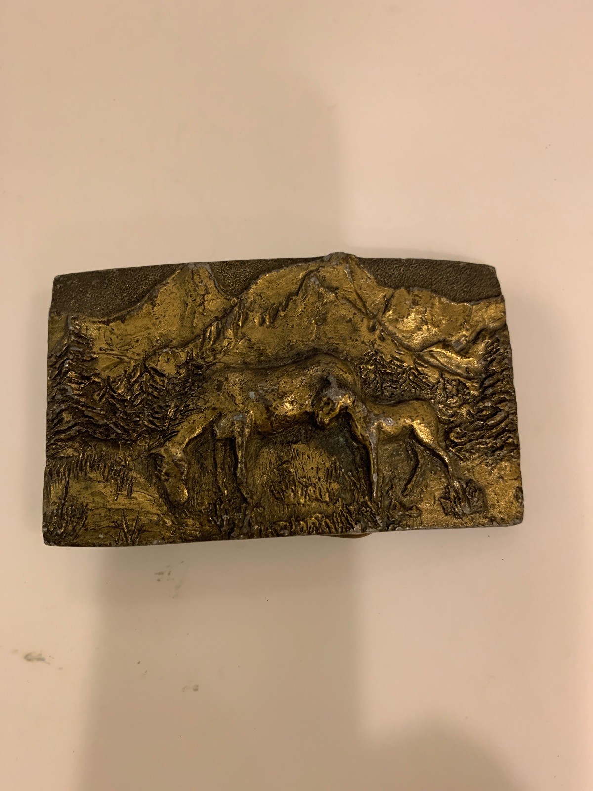 Colorado Rocky Mountain Solid Brass Belt Buckle Special Cast 1979 USA.