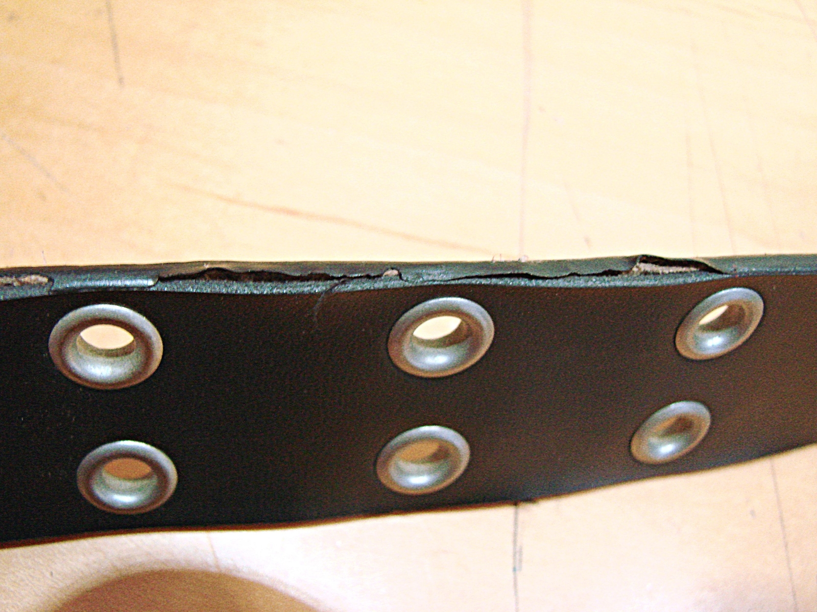 Motorcycle Eyelet Grunge Punk Grommet Leather Belt Buckle Unisex Black Motocross
