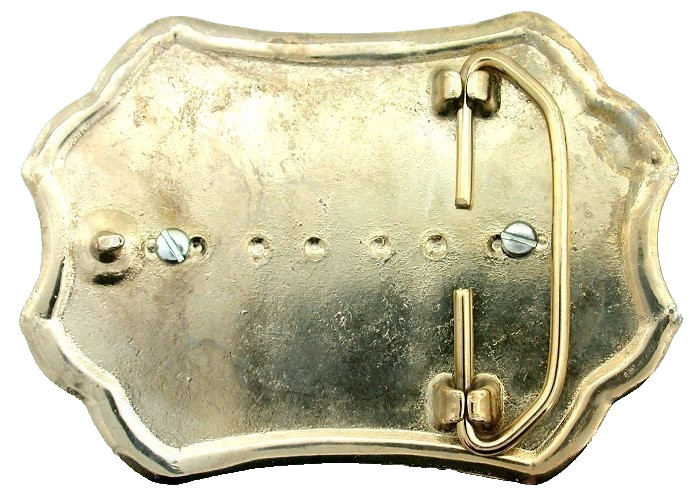 100 Carat Ruby Fuchsite Gold Color Western 3 7/10 Inch Belt Buckle EPBB259/61426