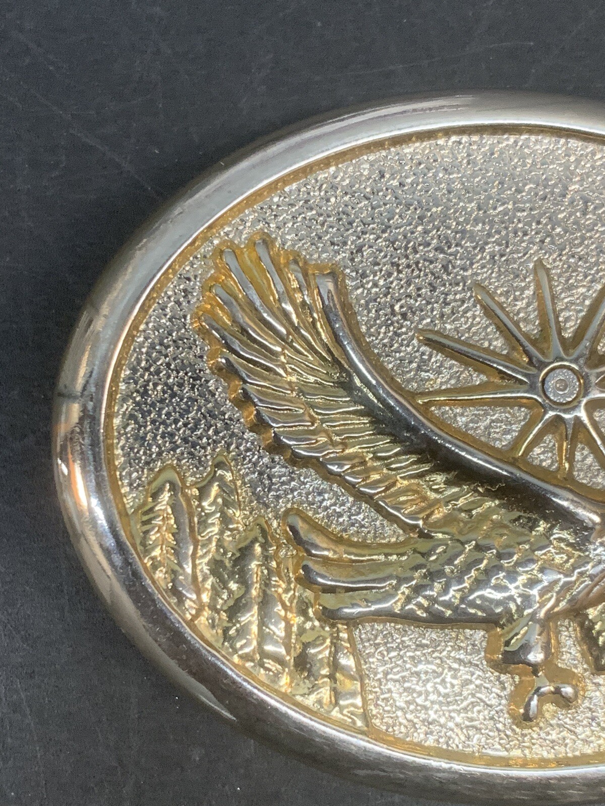 Gold & Silver Tone Flying Eagle Oval Belt Buckle