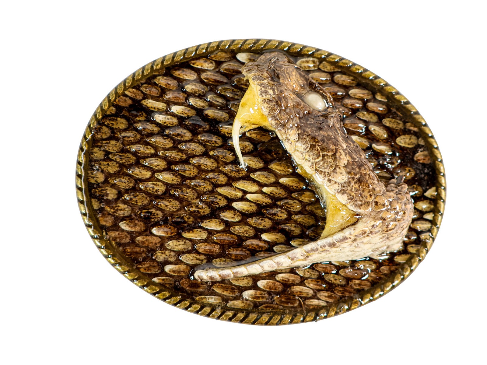 Real Rattlesnake Belt Buckle:1 Head in Oval (598-BB115)