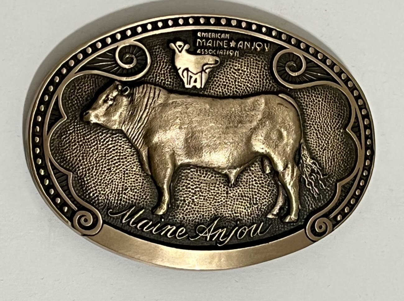 Tony Lama Brass Belt Buckle Maine Anjou Cattle Breed Series 1st Edition NOS