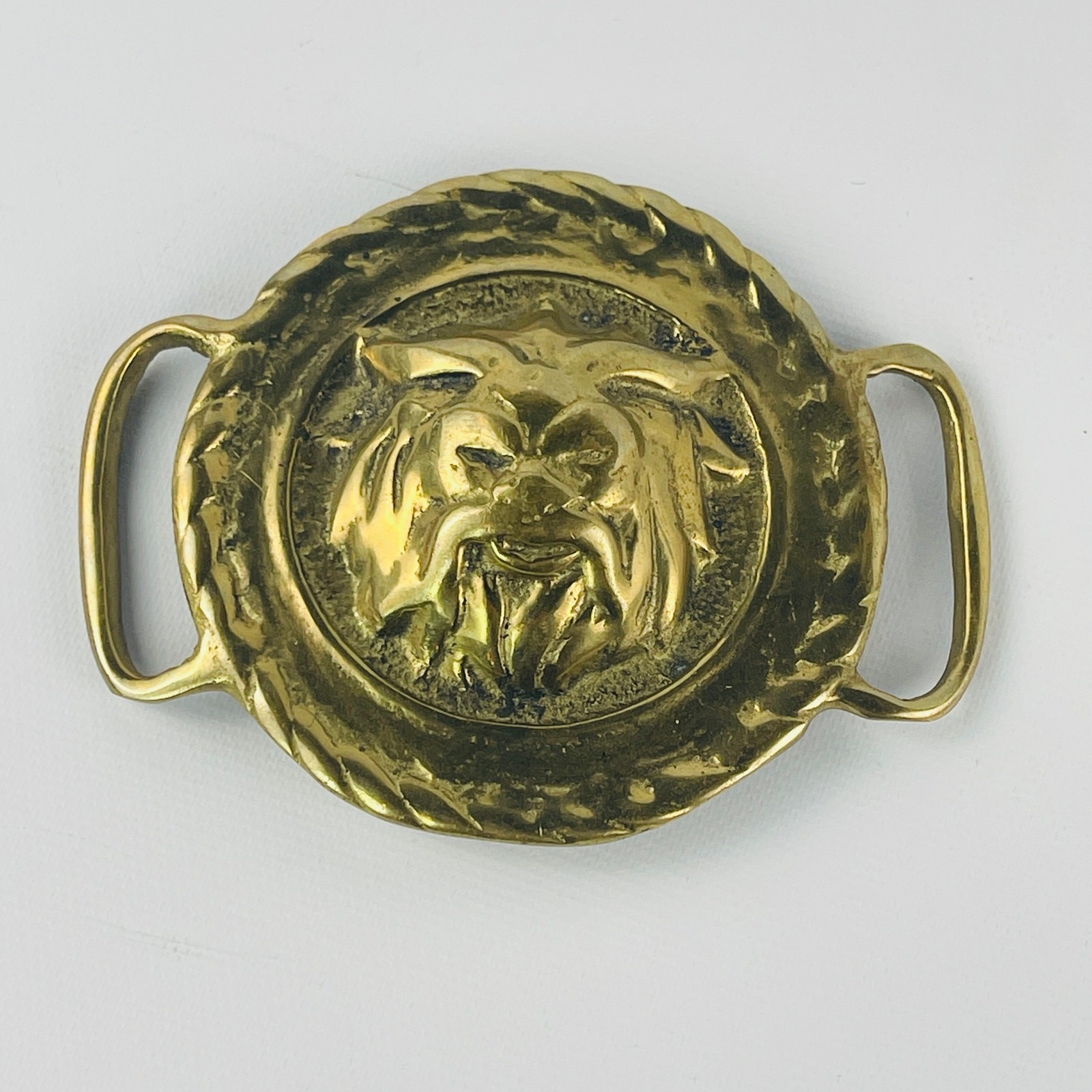 Lion / Beast Head Solid Brass Belt Buckle 3 1/8” Round