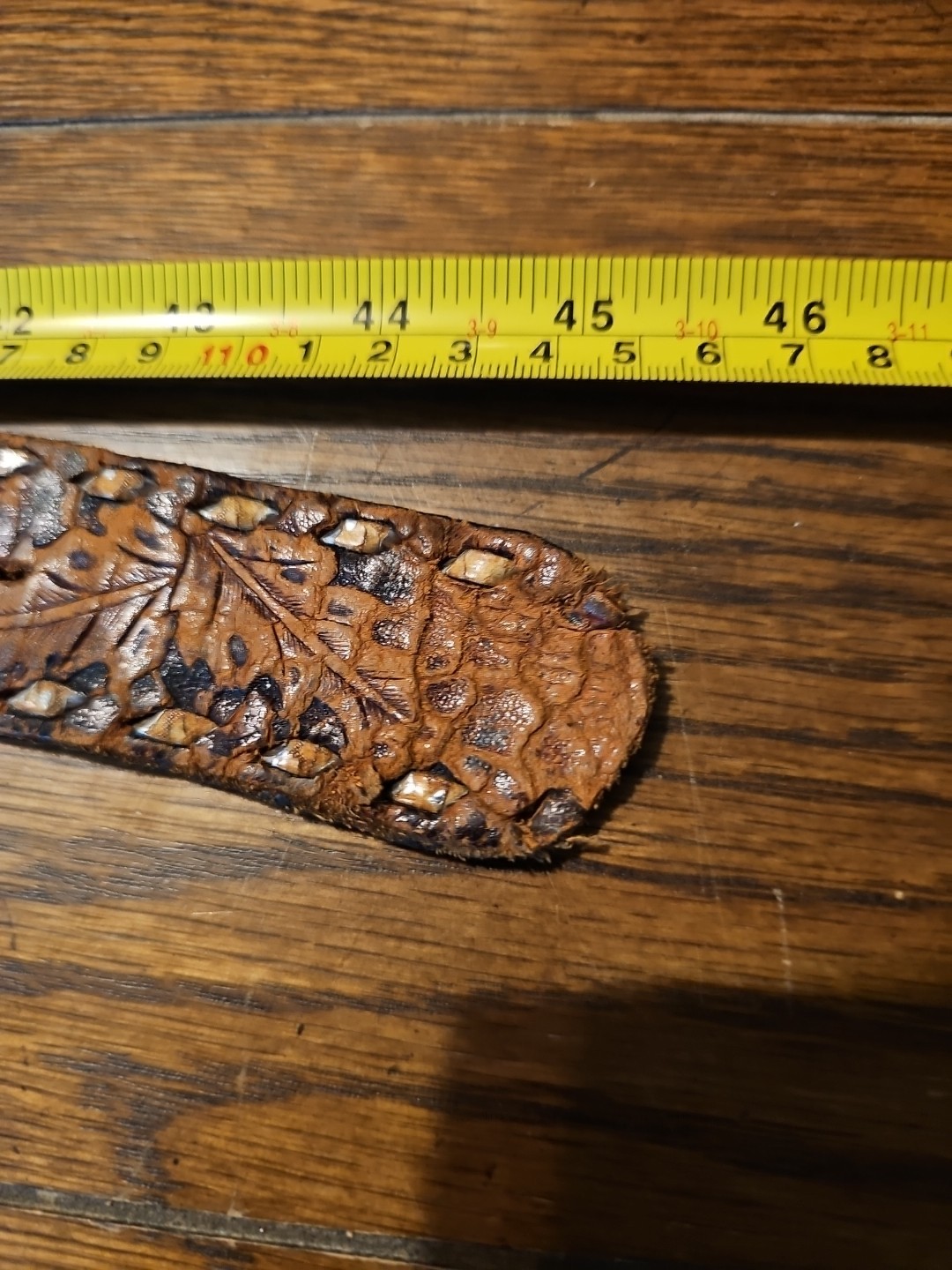 Vintage Southern Comfort Belt Buckle & Belt