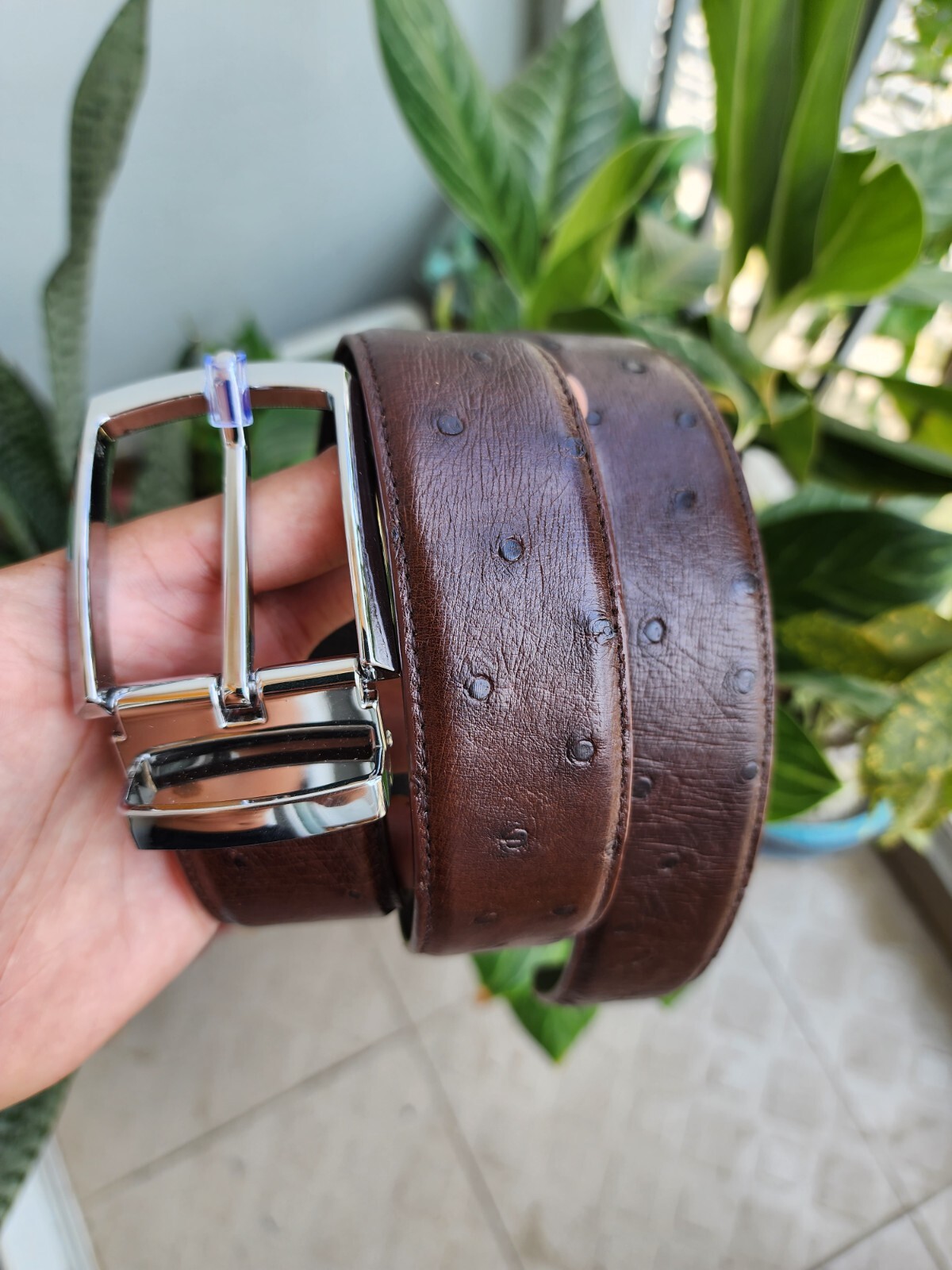 3.8CM Brown 100% Genuine Ostrich Leather Skin Men Belt Buckle- Handmade