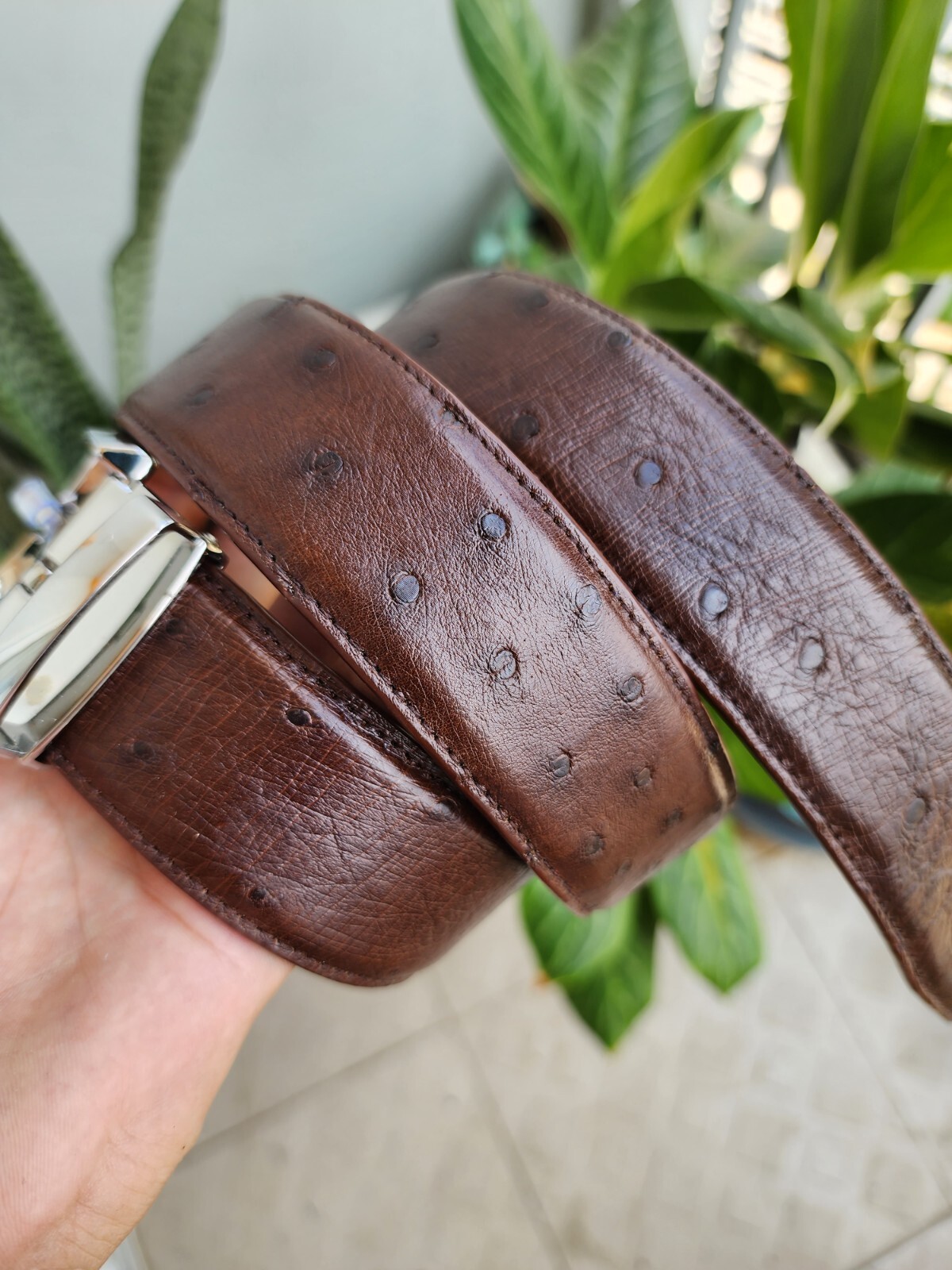 3.8CM Brown 100% Genuine Ostrich Leather Skin Men Belt Silver Buckle- Handmade