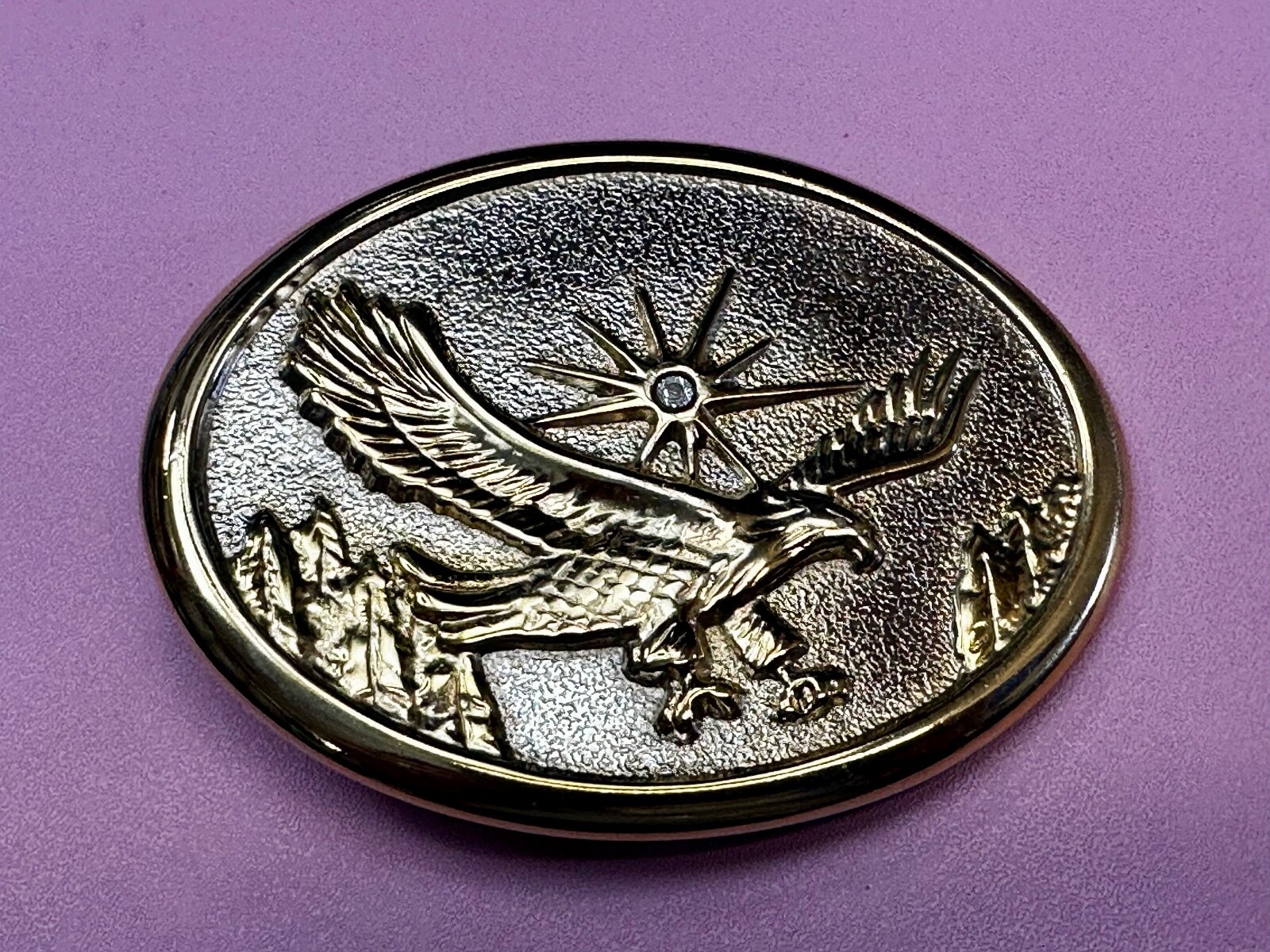 Eagle With Starburst USA Patriotic Belt Buckle Golden Western Bird Wings Cowboy
