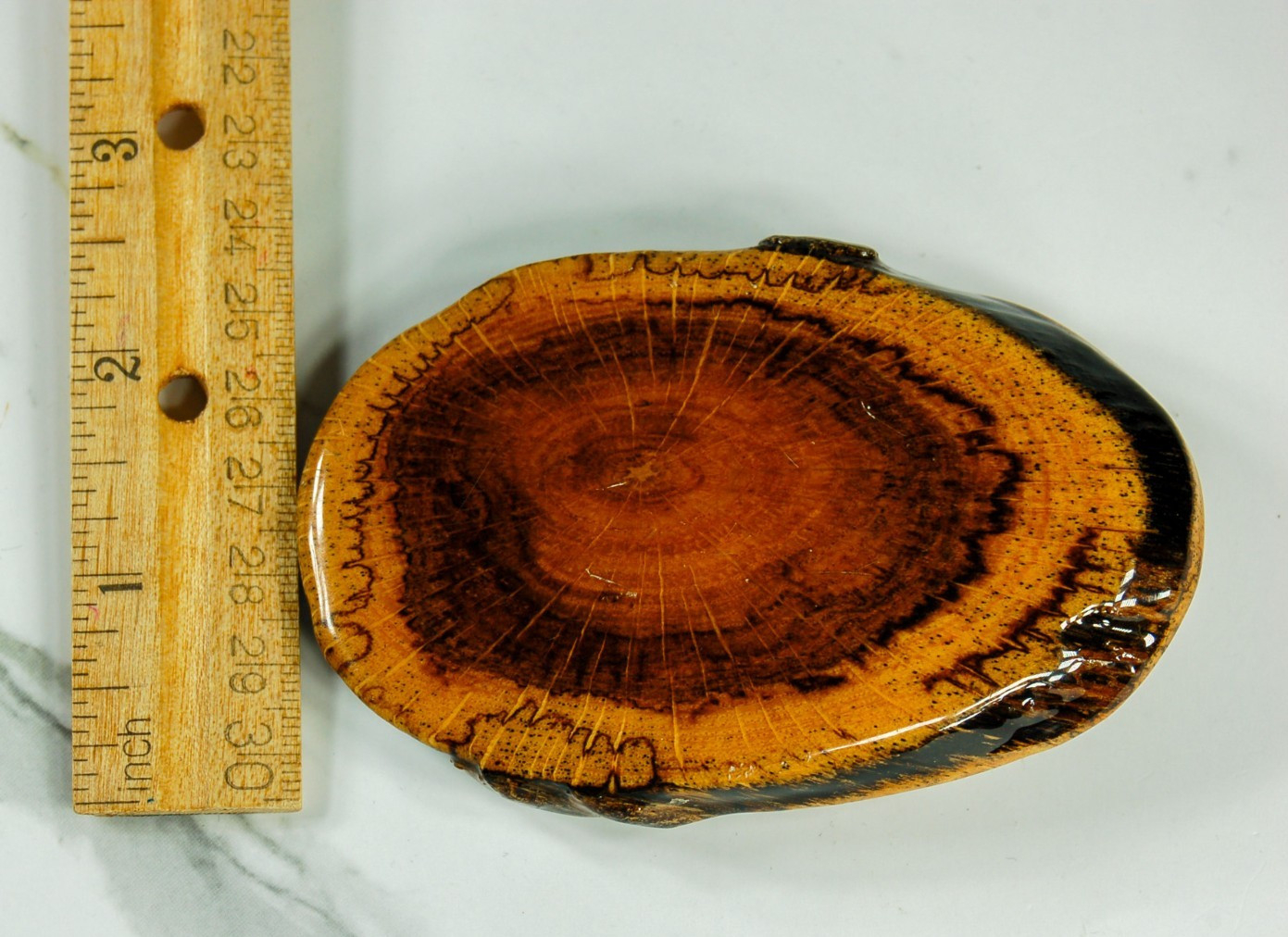 Cross-Cut burl wood mens belt buckle western