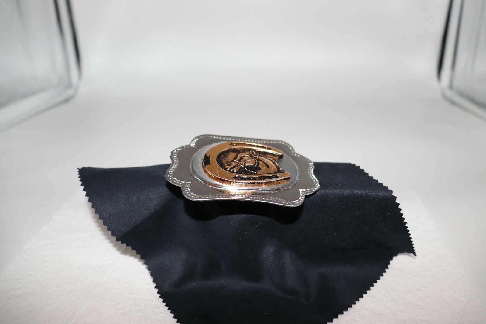 Horse in a Horseshoe Belt Buckle